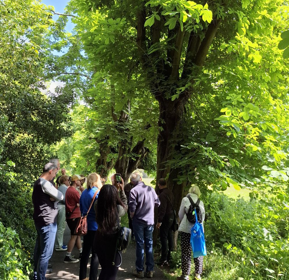 tree walk